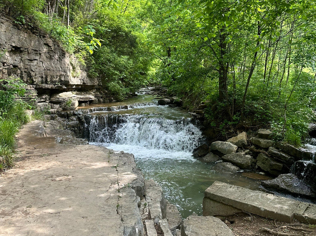 Cove Springs Park-法兰克福必去景点