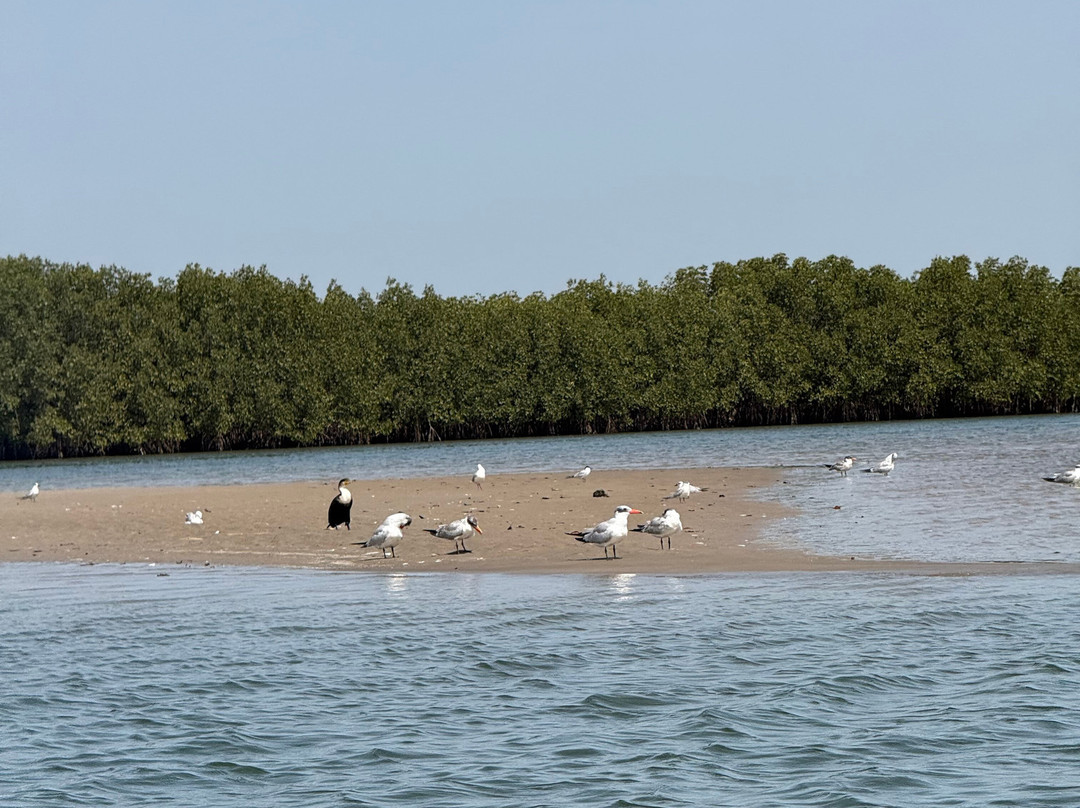 Iles du Saloum Decouverte景点图片