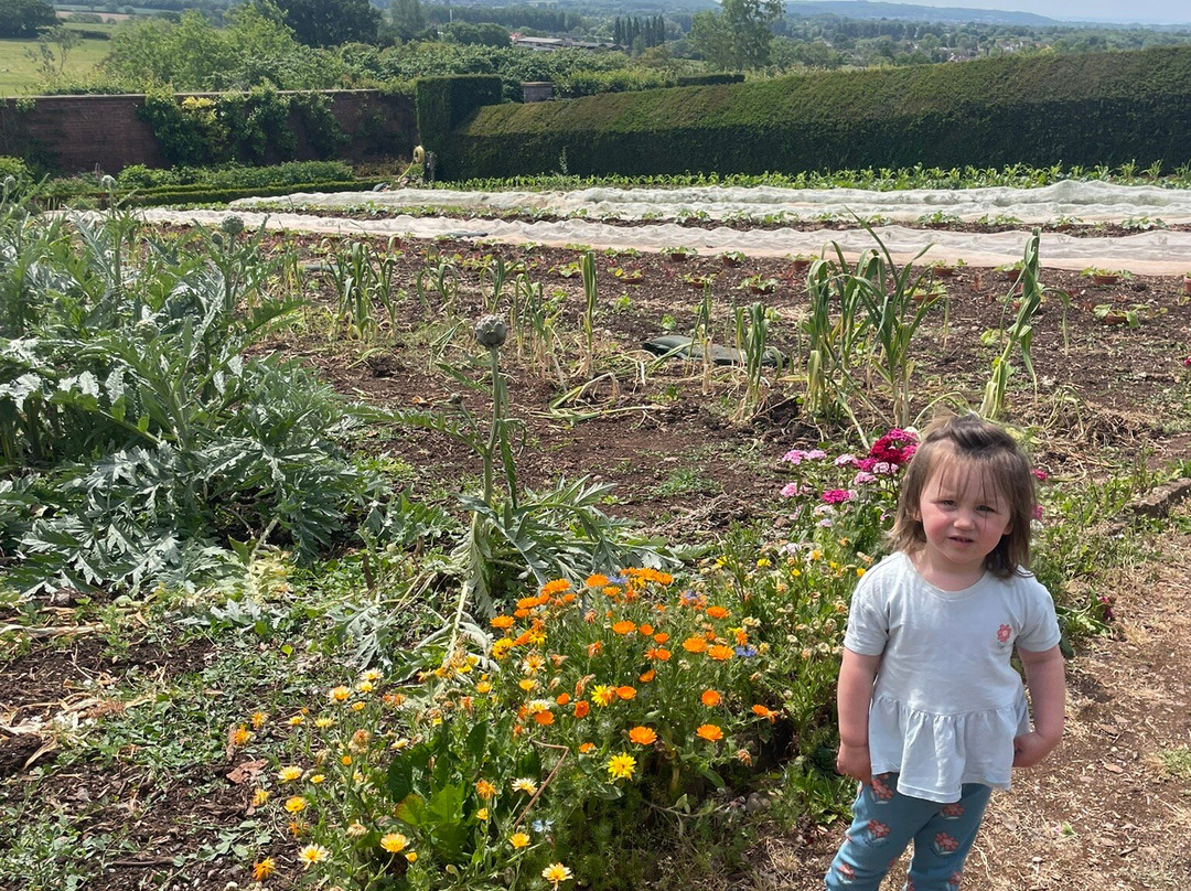 Barley Wood Walled Garden-Wrington必去景点