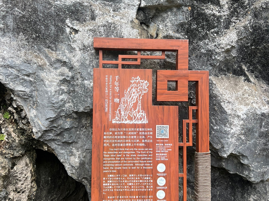 永安鳞隐石林-永安市必去景点