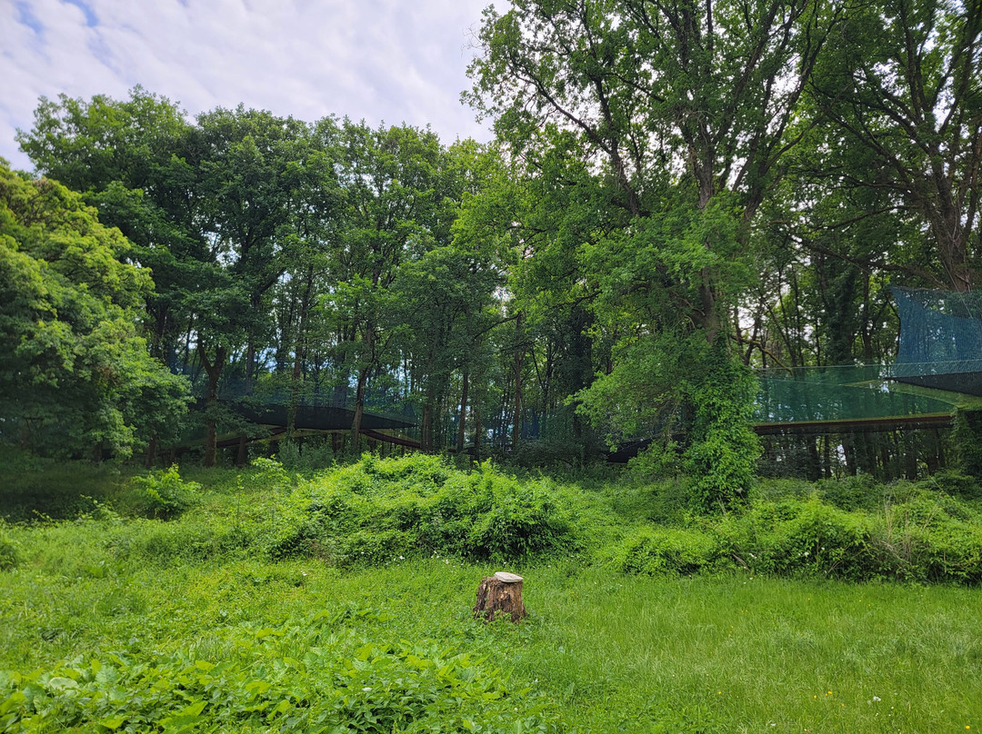 Le Restaurant Des Cimes De Courcy