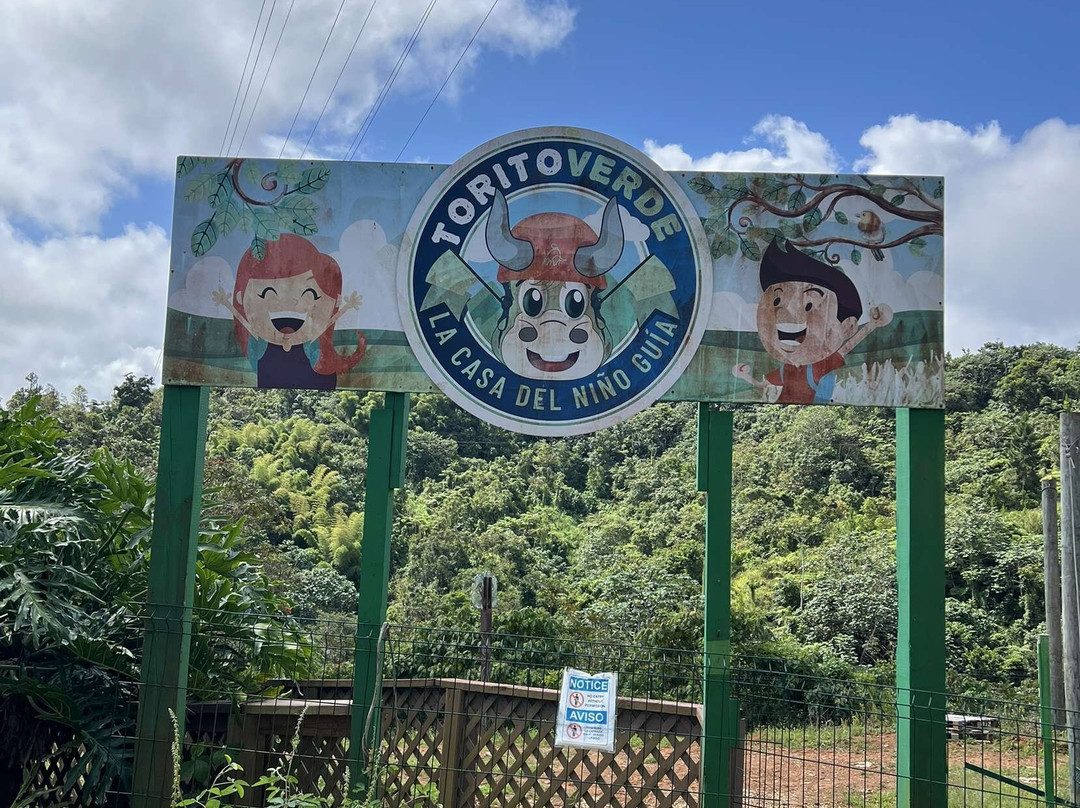 ITour Puerto Rico-圣胡安必去景点