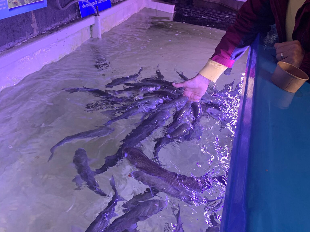 Lyme Regis Marine Aquarium景点图片