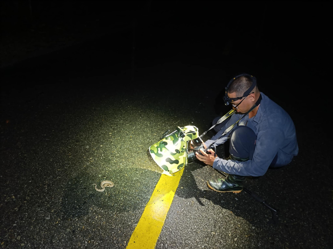 Herping Tour Vietnam - Guide Diệp Tùng-Ben Luc必去景点