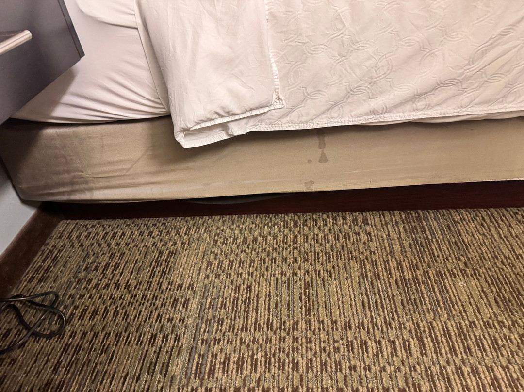 Staybridge Suites Philadelphia- Montgomeryville by IHG主图