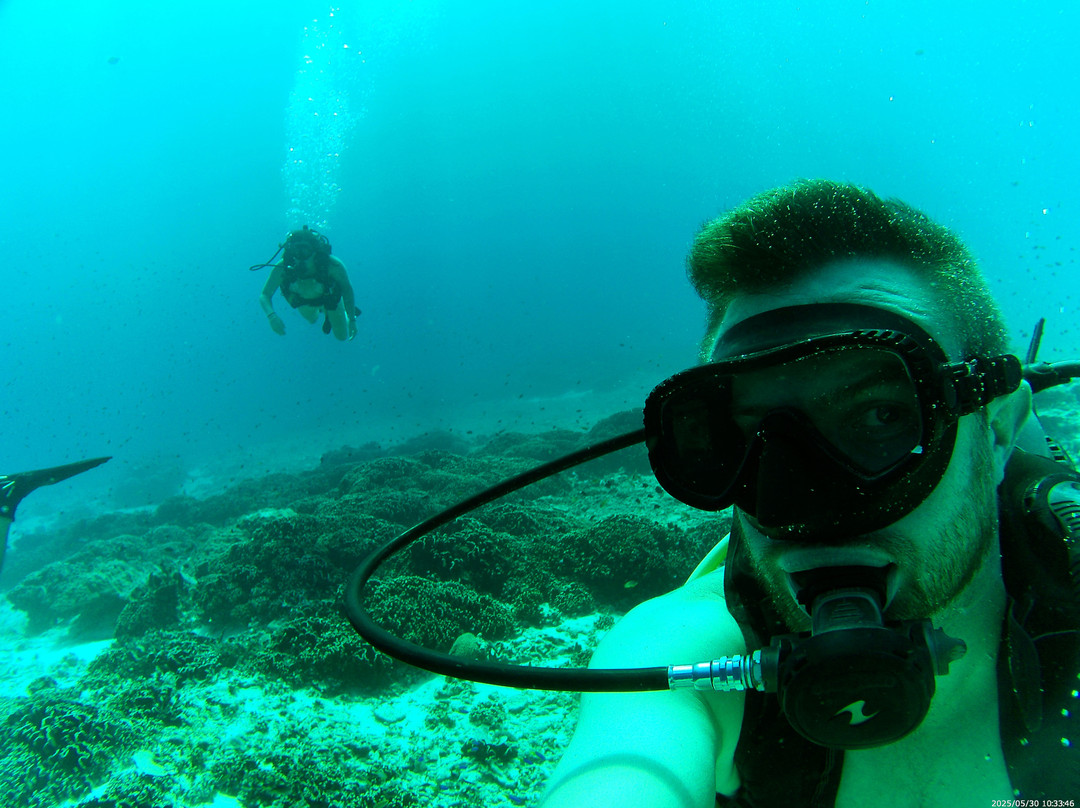 DSM Dive - Gili Trawangan景点图片