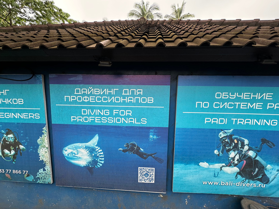 Bali-Club Dive Center景点图片