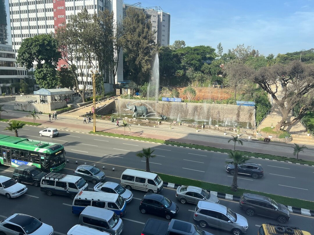 Hyatt Regency Addis Ababa主图