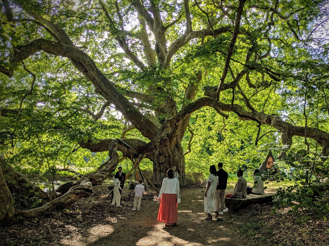 Magnanville酒店住宿-Chateau de la Bucherie
