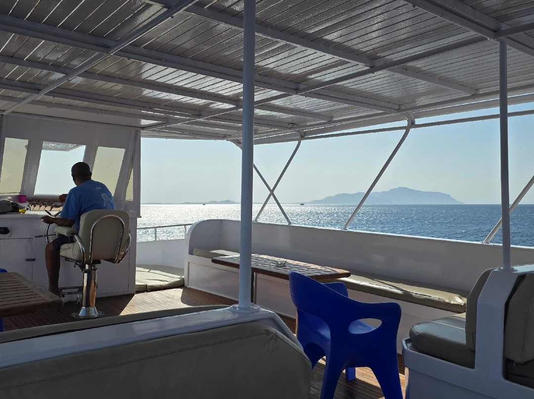 Red Sea Elite Diving-沙姆沙伊赫必去景点