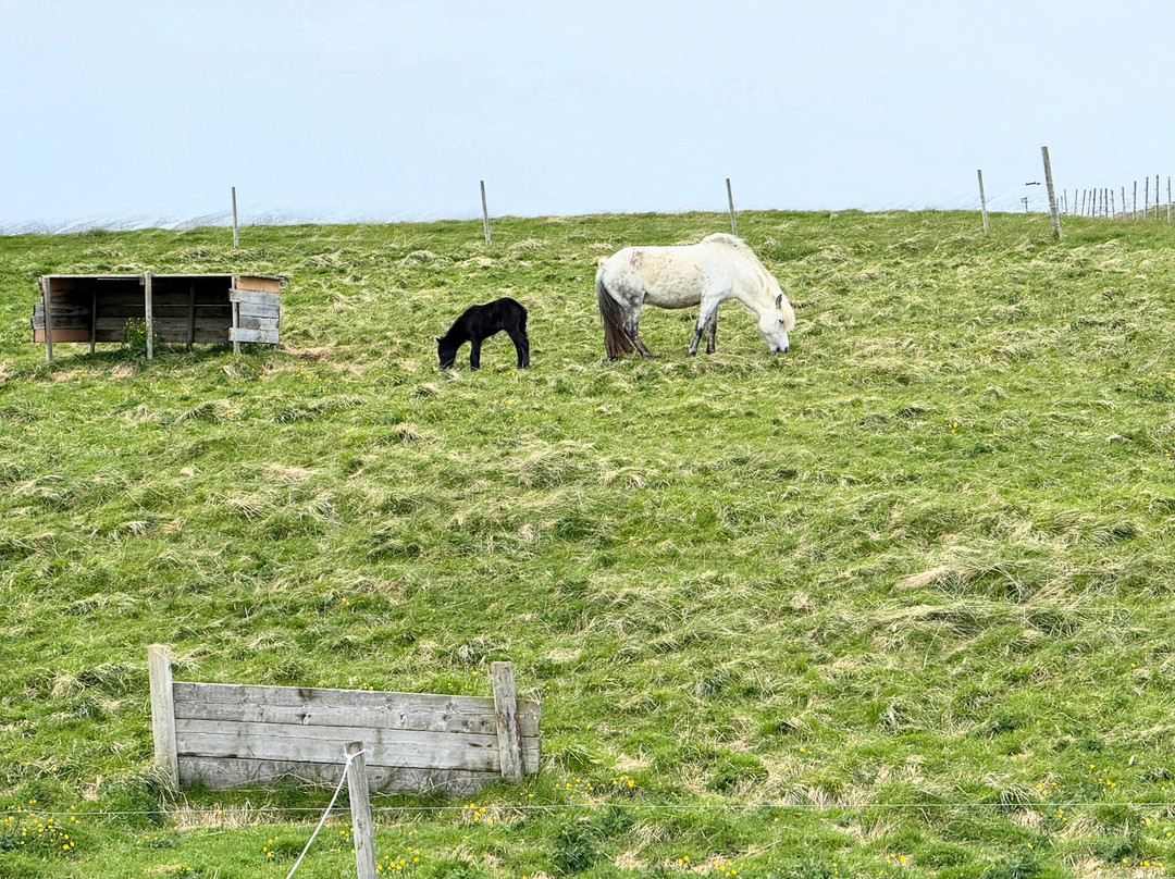 Stora - Asgeirsa-华姆斯唐吉必去景点