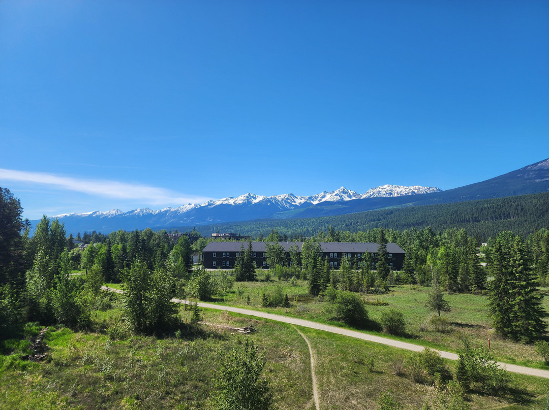 Kicking Horse Pedestrian Bridge景点图片