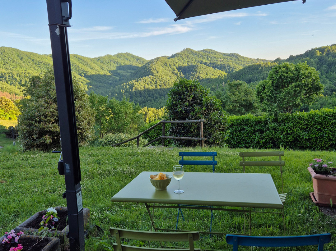 Bio Agriturismo Chignoni主图