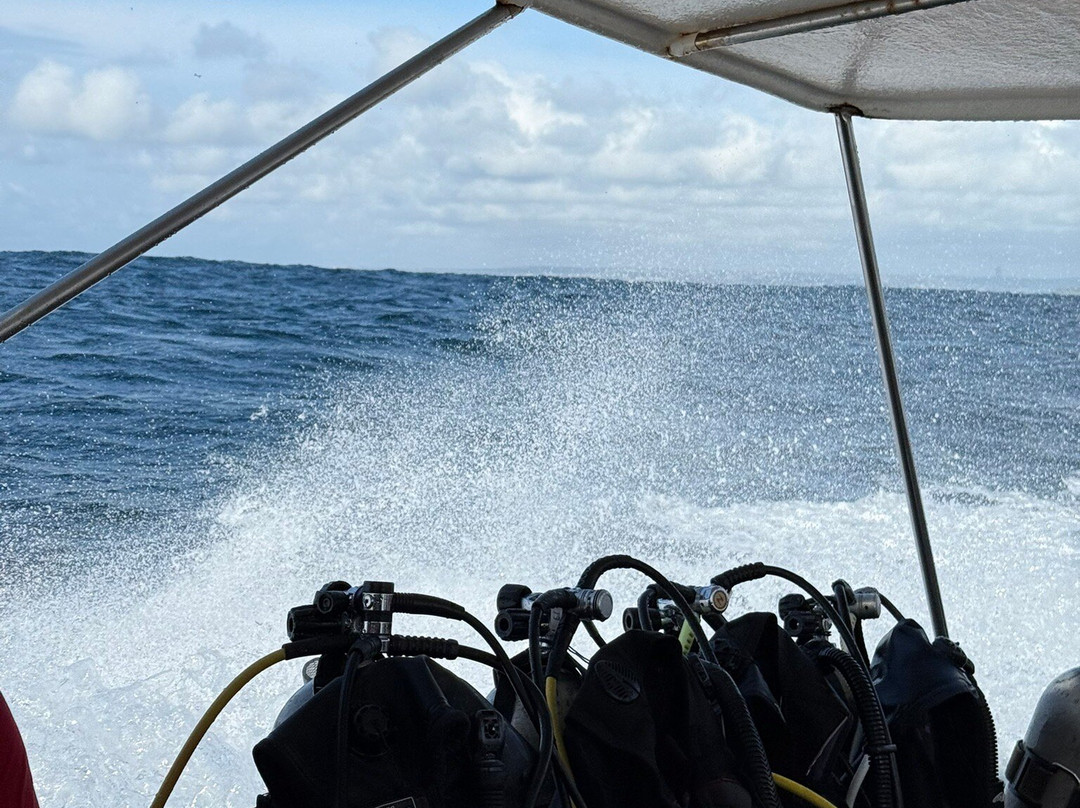 Two Fish Divers Sanur-沙努尔必去景点
