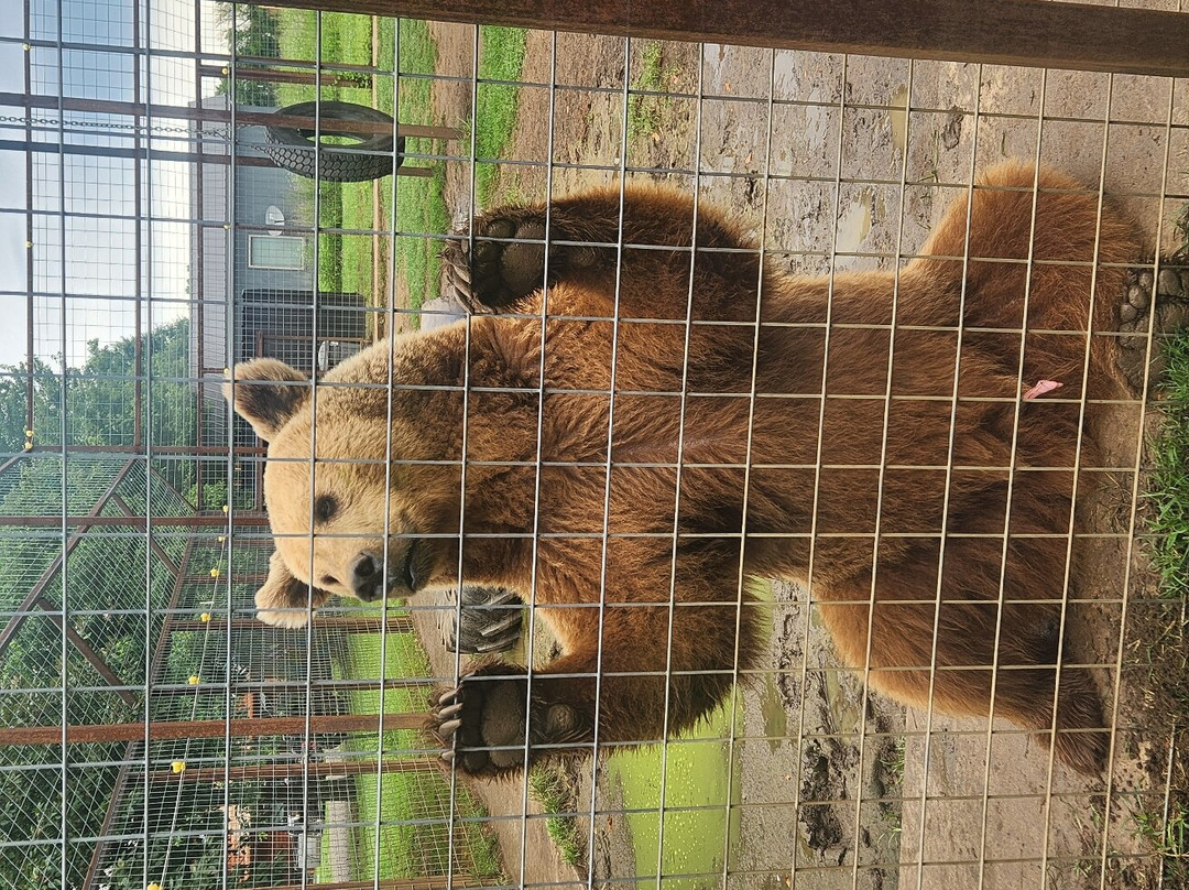 Safari Zoological Park景点图片