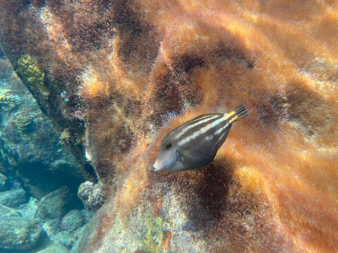 Kalinago-Sainte-Anne必去景点