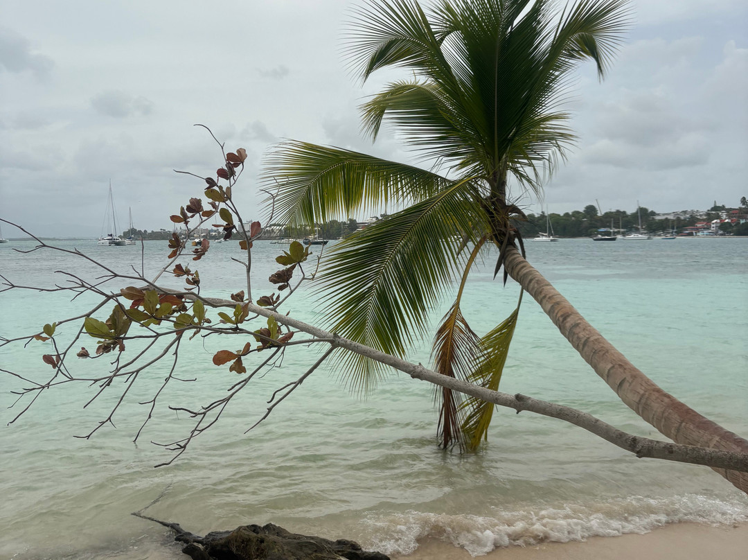 Atmosphère-Sainte-Anne必去景点