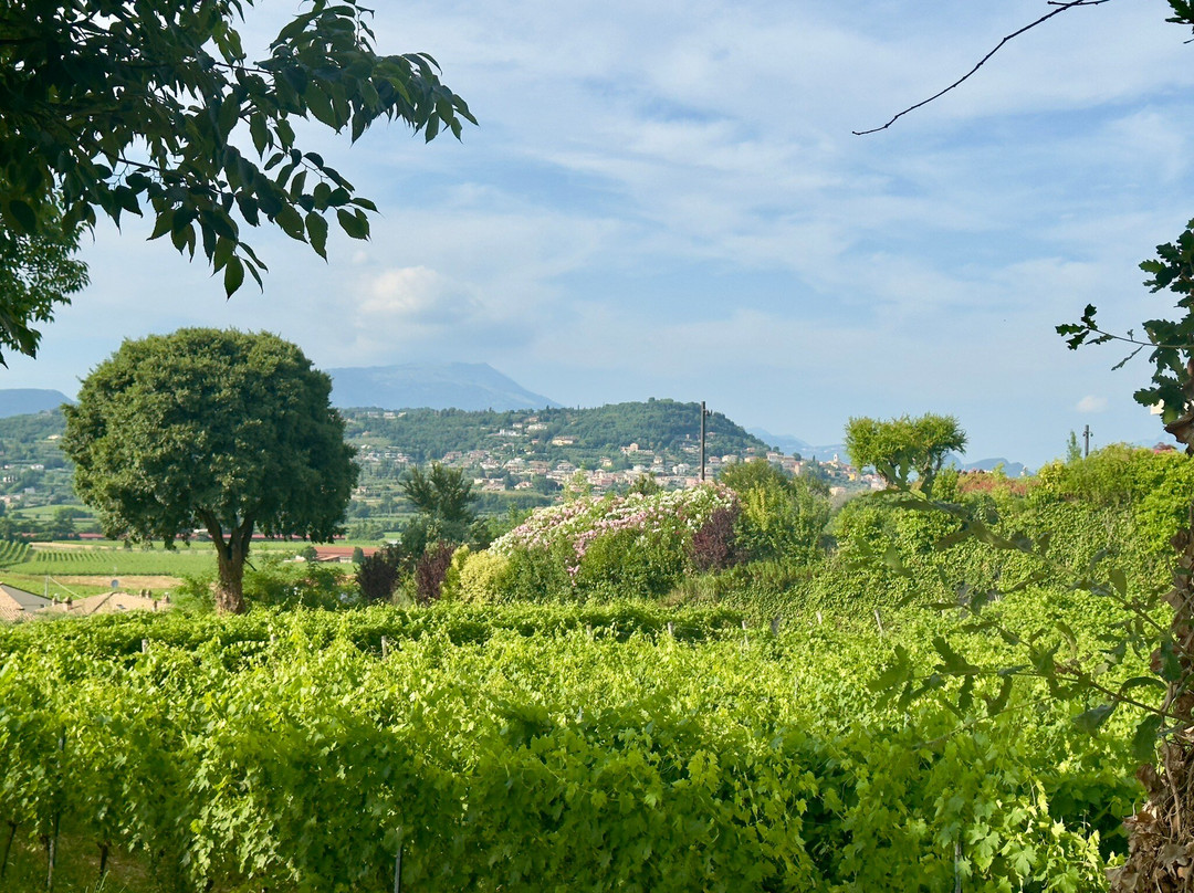 Villa Calicantus-Calmasino必去景点