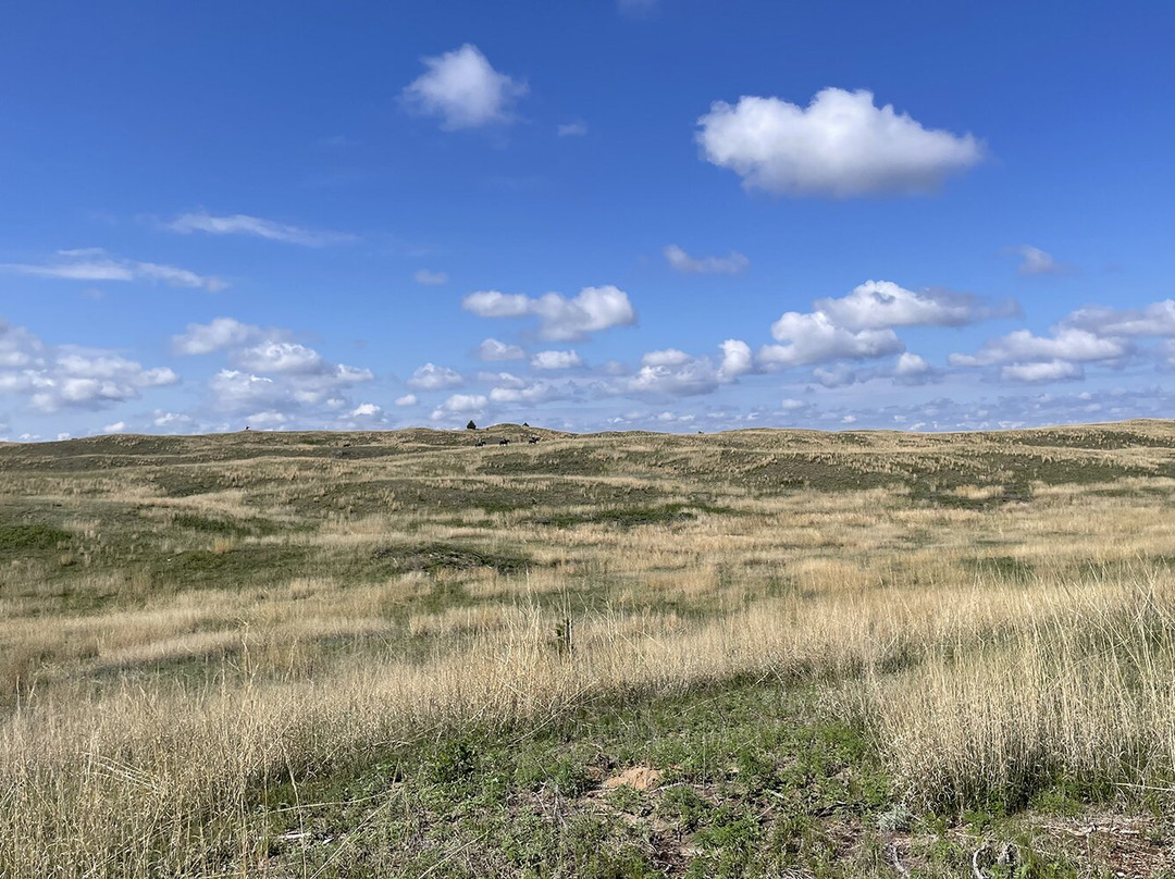 Rowse's 1+1 Ranch-Burwell必去景点