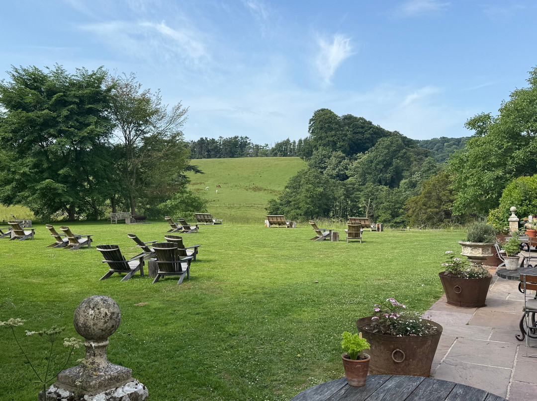 THE PIG - at Combe主图