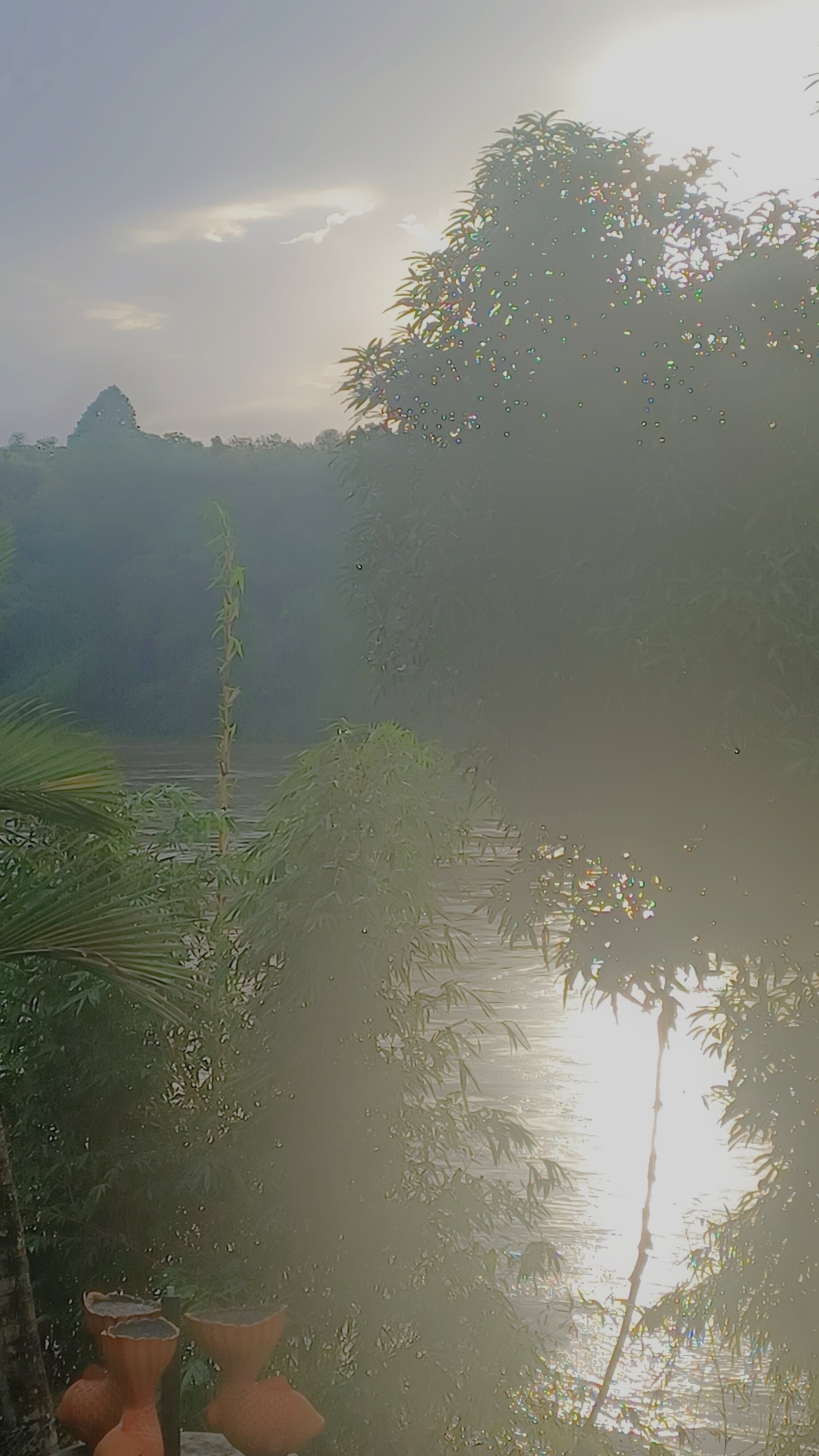 Elephant Pass Ayurveda & Yoga Retreat-酒店景观