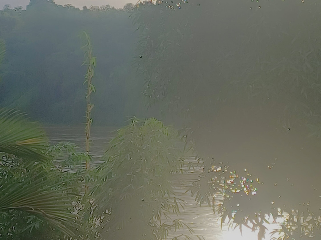 Elephant Pass Ayurveda & Yoga Retreat主图