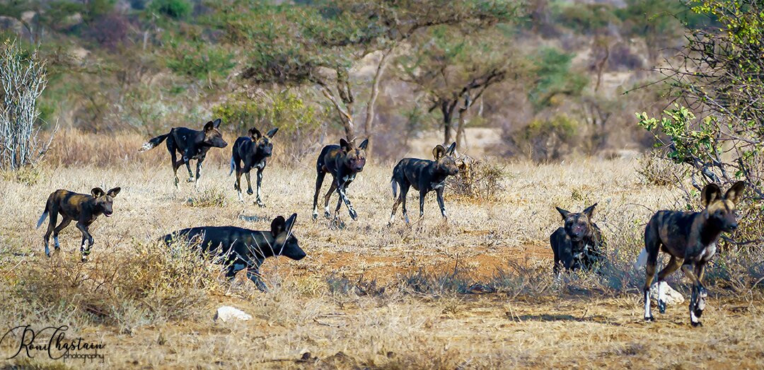 Lemnshan African Adventure Safari-南由基必去景点