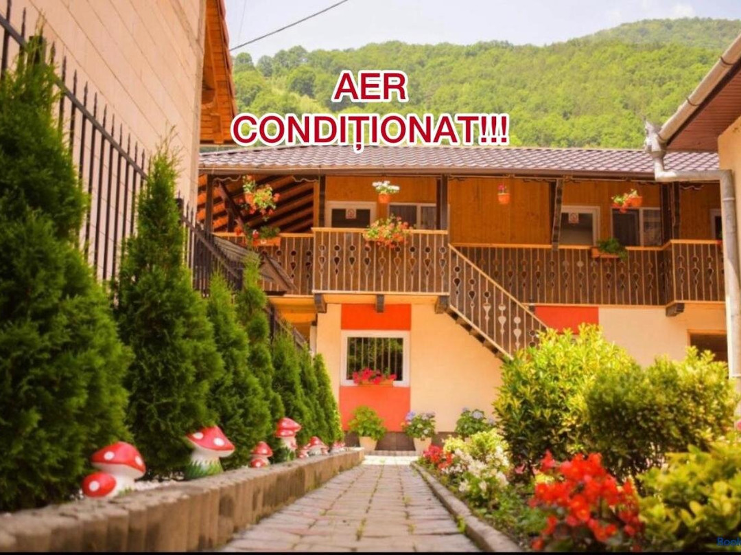 Pensiunea Casa Ioana