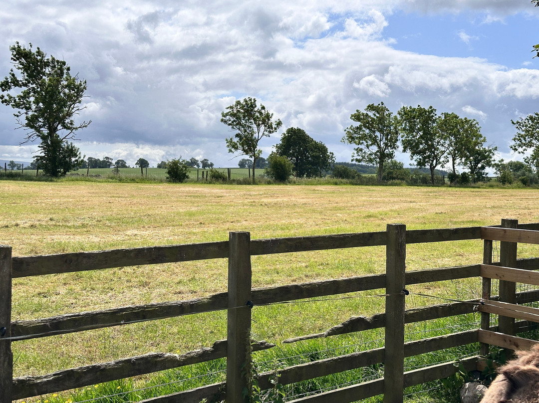 Barnhill Donkeys Retreat Sleagill