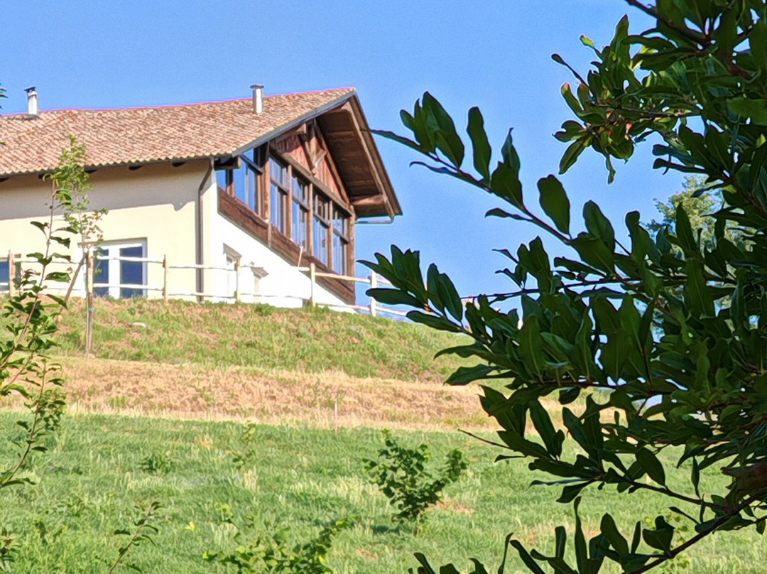 Cascina Fazioli