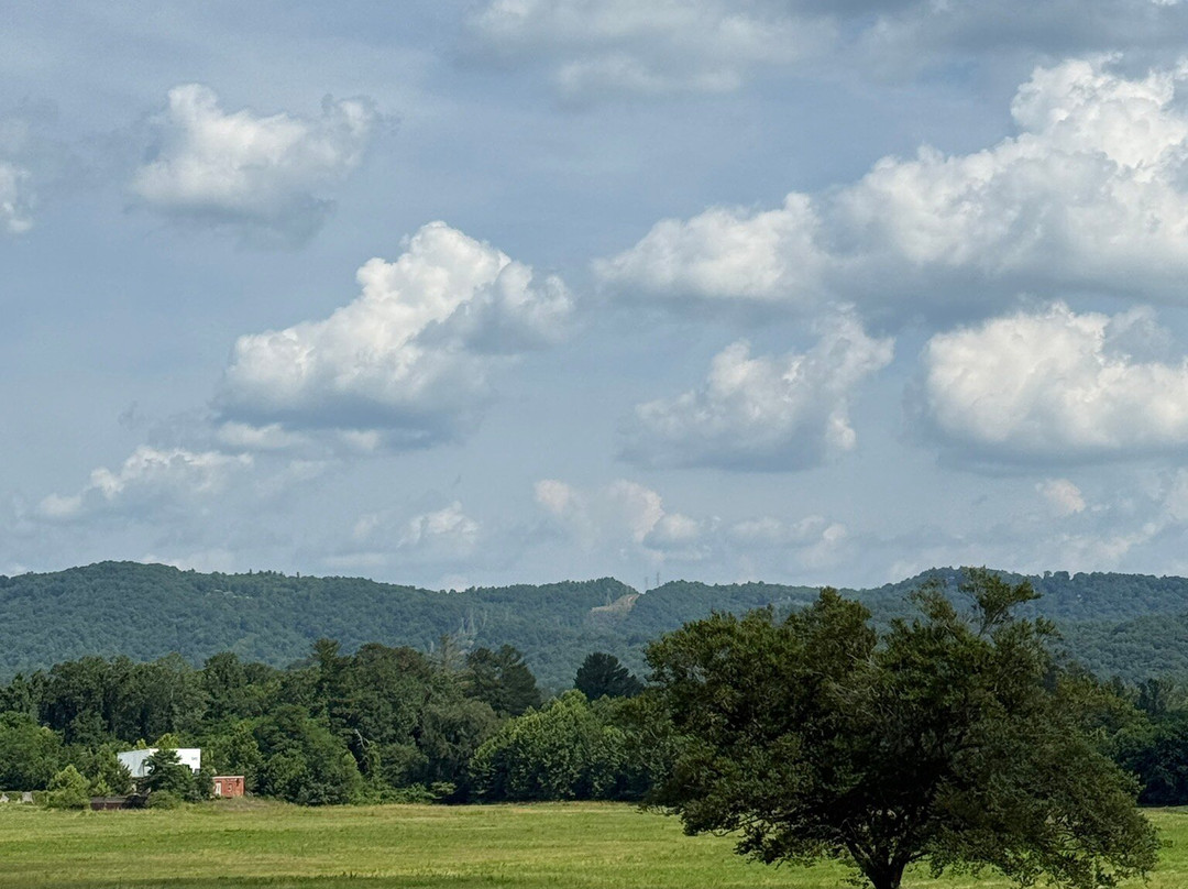 Ecusta Brewing Company-Pisgah Forest必去景点