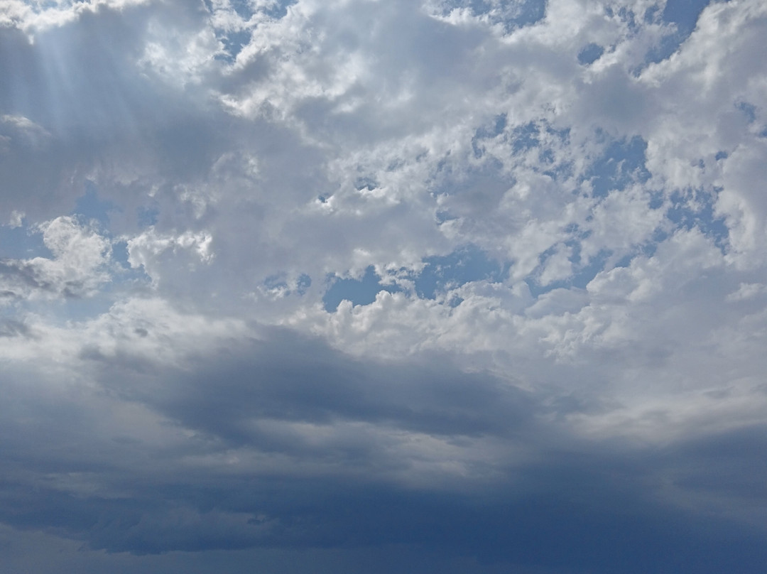 Les Canoës du Marais-Givrand必去景点