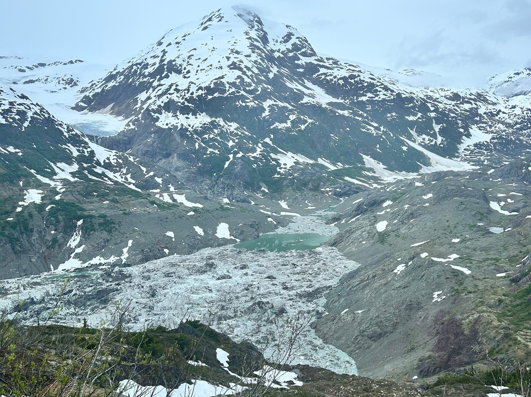 Whitecap to Icecap Adventures-Stewart必去景点