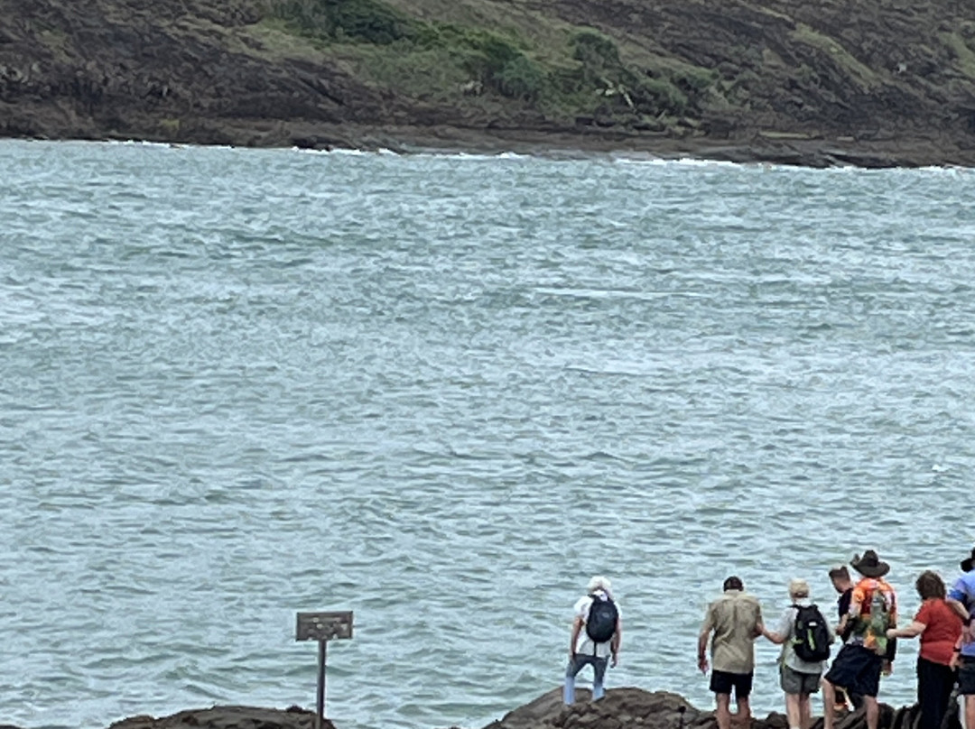 Far North Escapes-Cape Tribulation必去景点