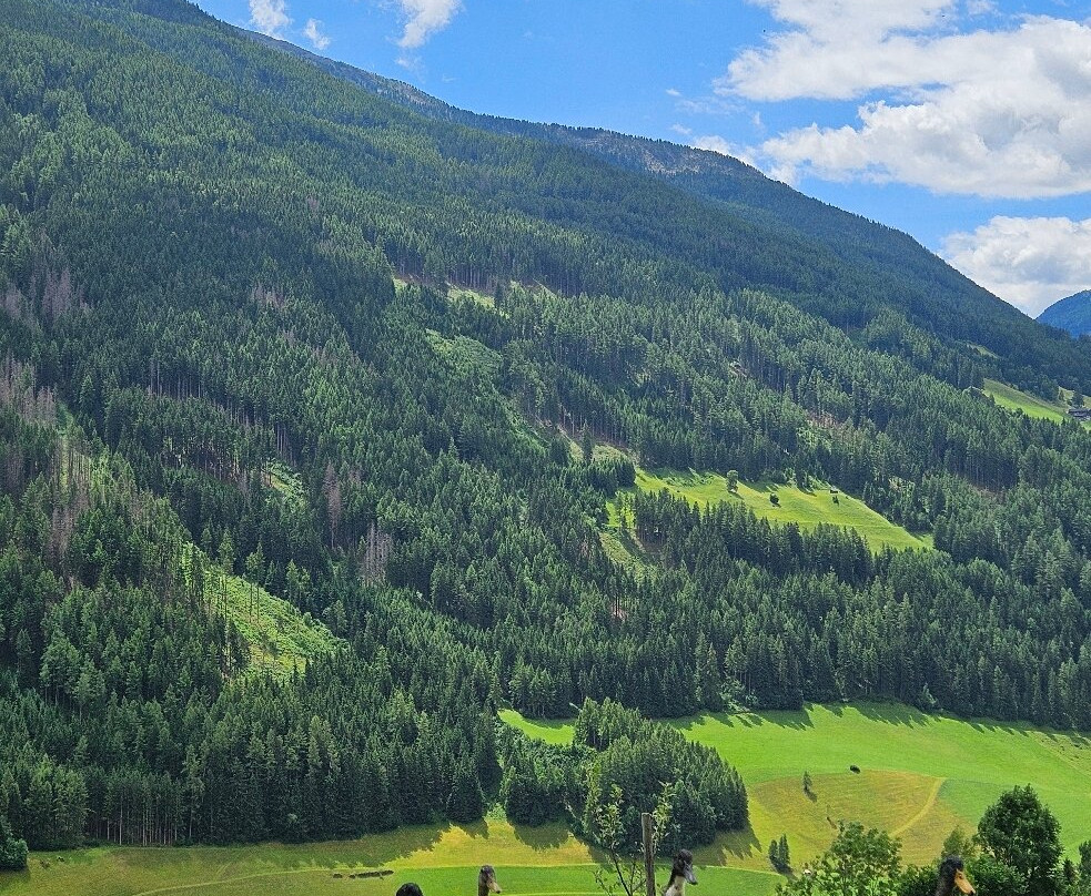 Berggasthof Platterhof主图