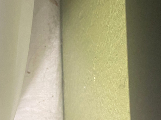 Super 8 by Wyndham Champaign主图