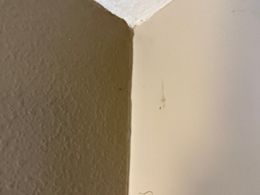 Super 8 by Wyndham Cookeville, TN主图