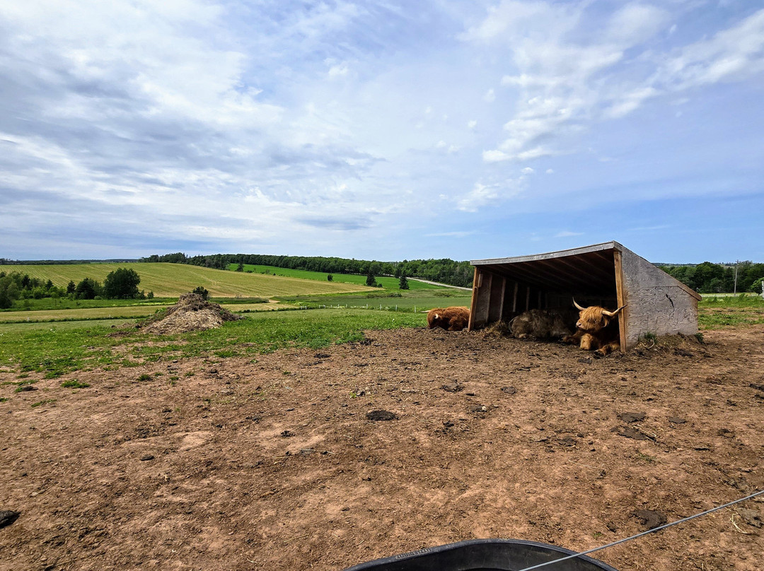 Island Hill Farm Inc-Hampshire必去景点