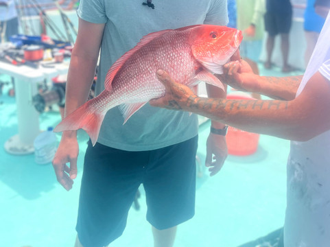 Family Tradition Charters-巴拿马城必去景点