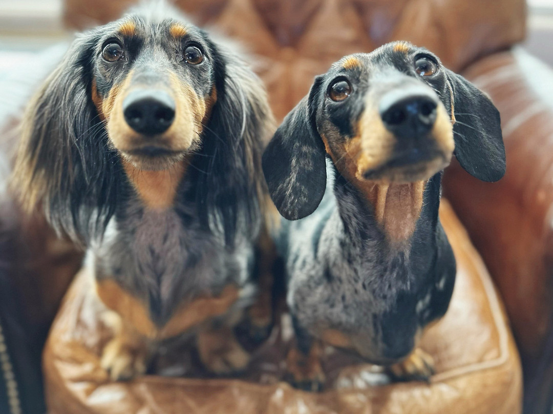 Trailer Village RV Park主图