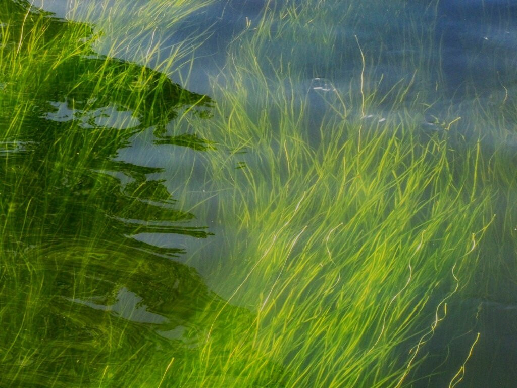 Feeder Canal Trail-Glens Falls必去景点