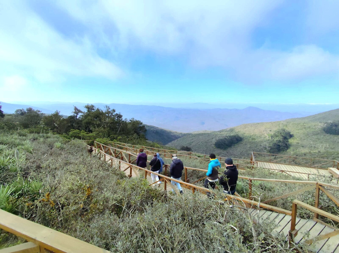 Fray Jorge National Park-拉塞雷纳必去景点