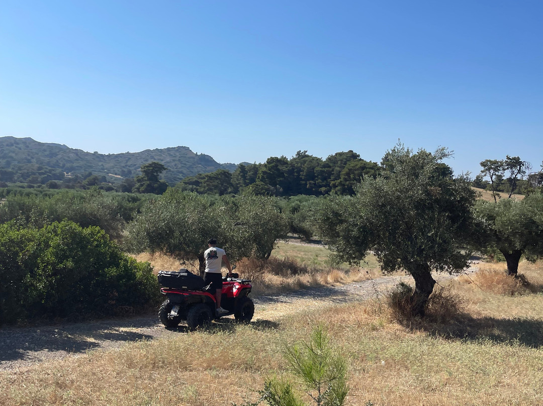 Go2safari-Theologos必去景点