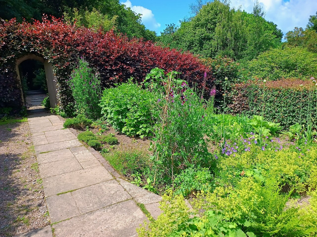 Docton Mill Gardens & Tea Rooms-Hartland必去景点