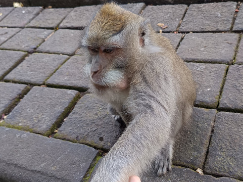 Karuna Kania Bali Tours-库塔必去景点