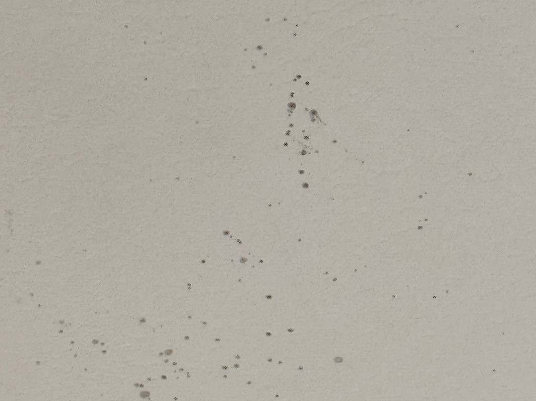 Home2 Suites By Hilton Memphis - Southaven主图