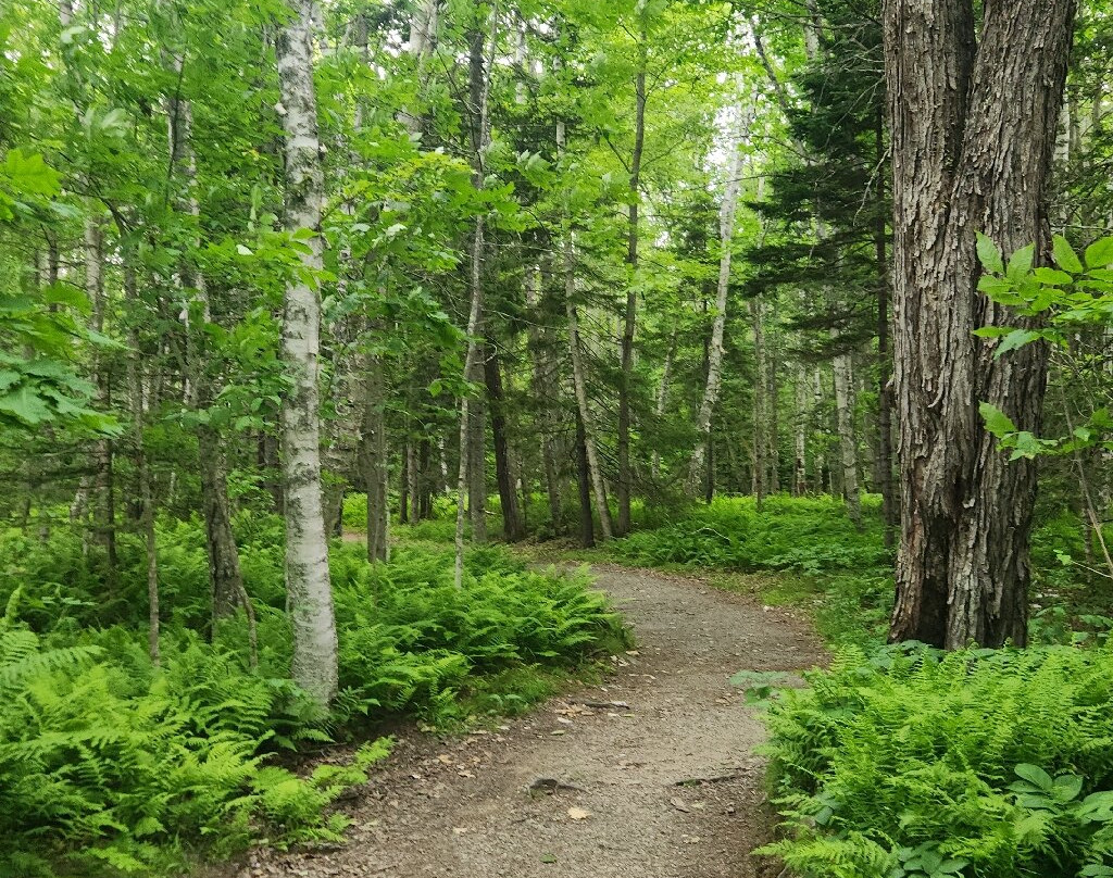 Moose Point State Park-Searsport必去景点