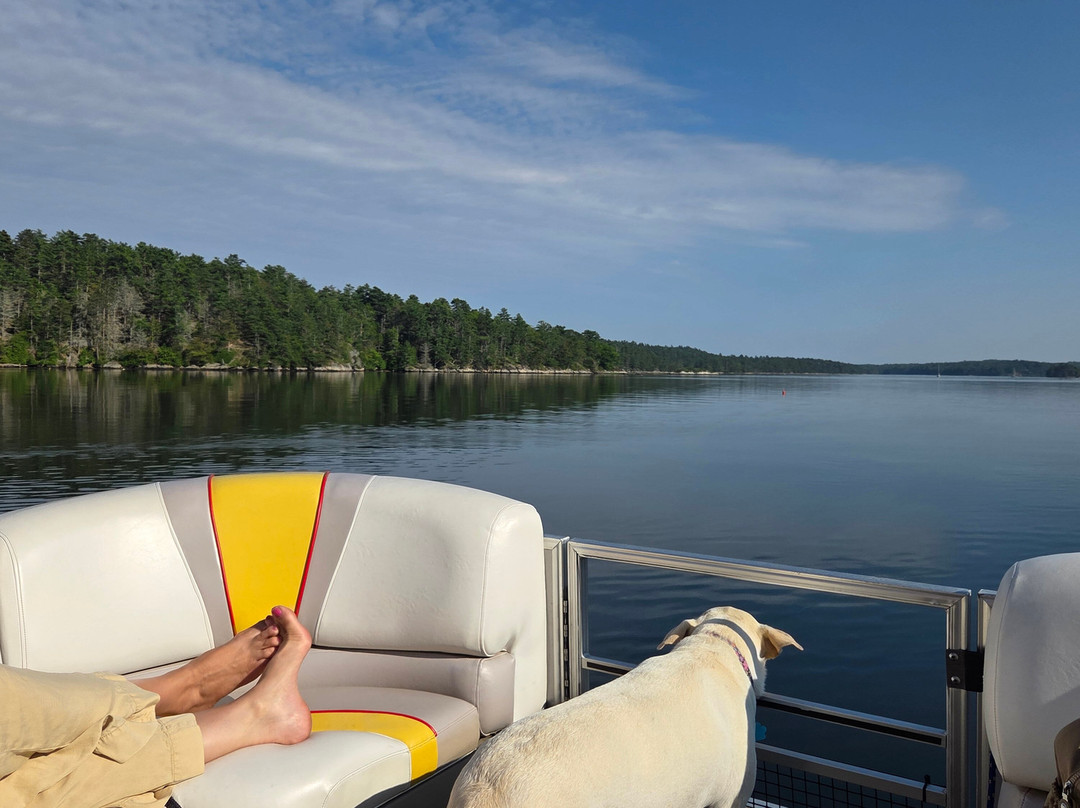 River Run Tours-巴斯必去景点