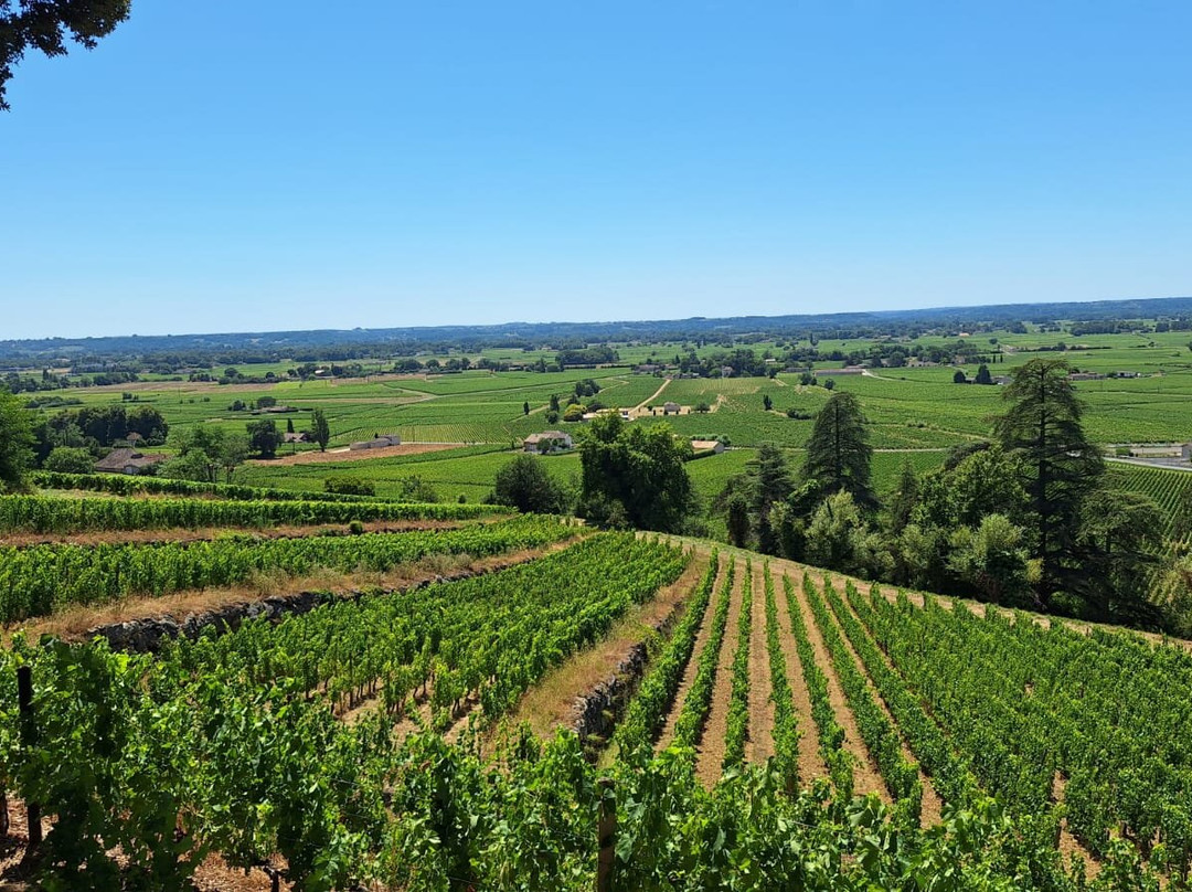 Château Saint-Georges-Montagne必去景点