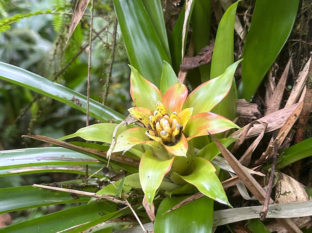 Rando A2Pas-Ducos必去景点